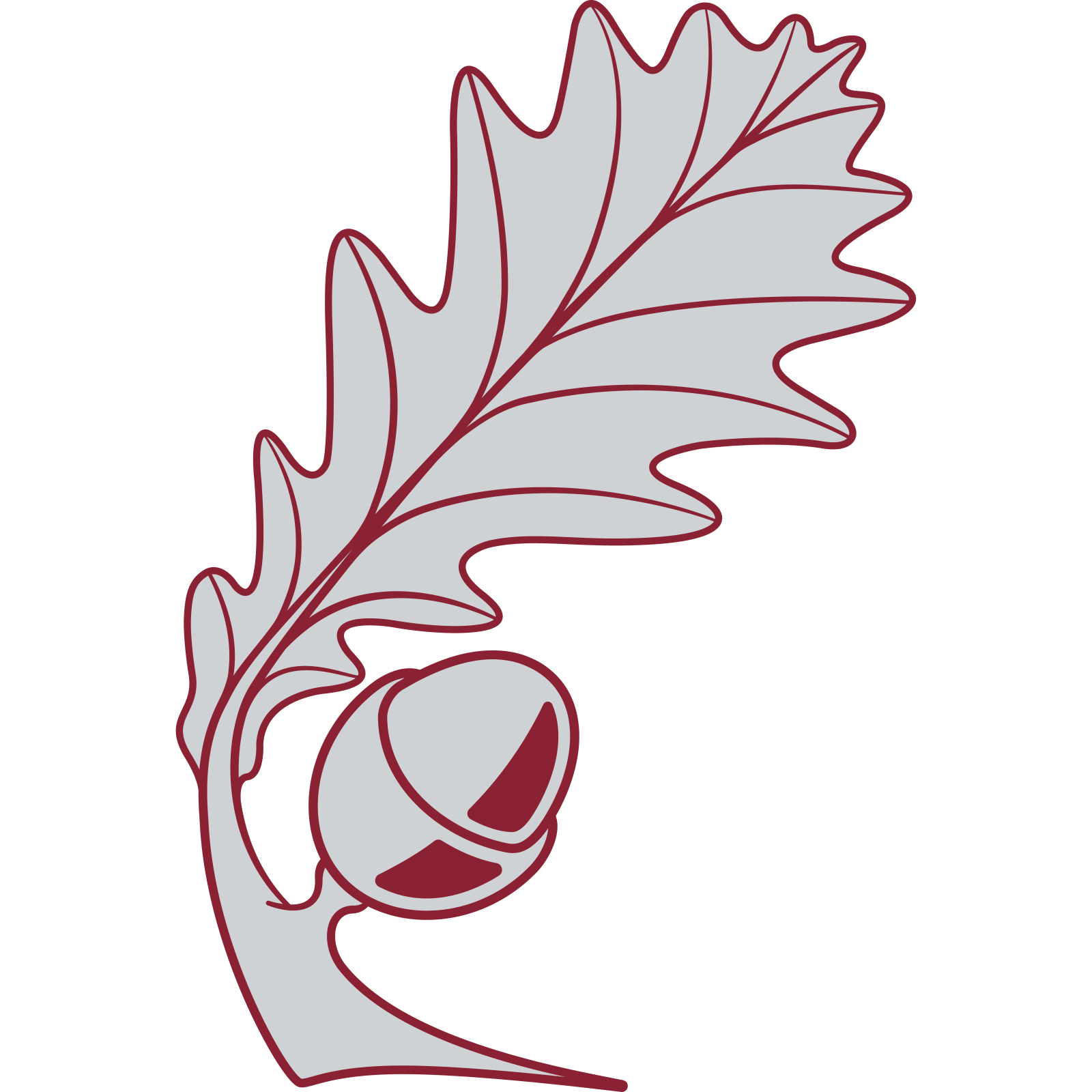 Shire Oak Academy logo Shire Oak Academy logo
